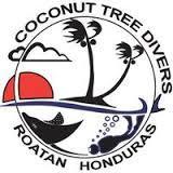 Hotel Coconut Tree West End Exterior foto