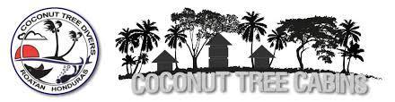 Hotel Coconut Tree West End Exterior foto